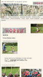 Mobile Screenshot of norvik.de